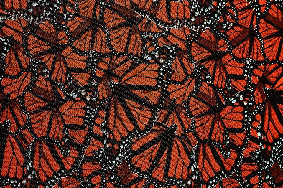 Pellicano Baby Little monarch Ginger Wrap  Image
