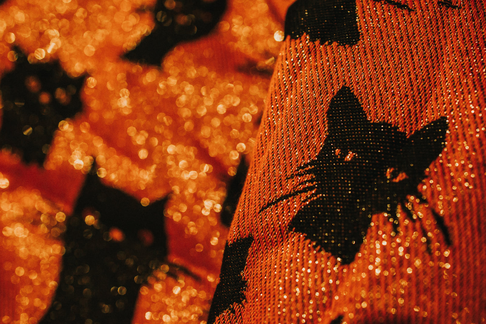 ROAR Miau miau – Pumpkin blink Wrap (viscose) Image