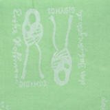 Didymos Nino Spring Green Wrap  Image