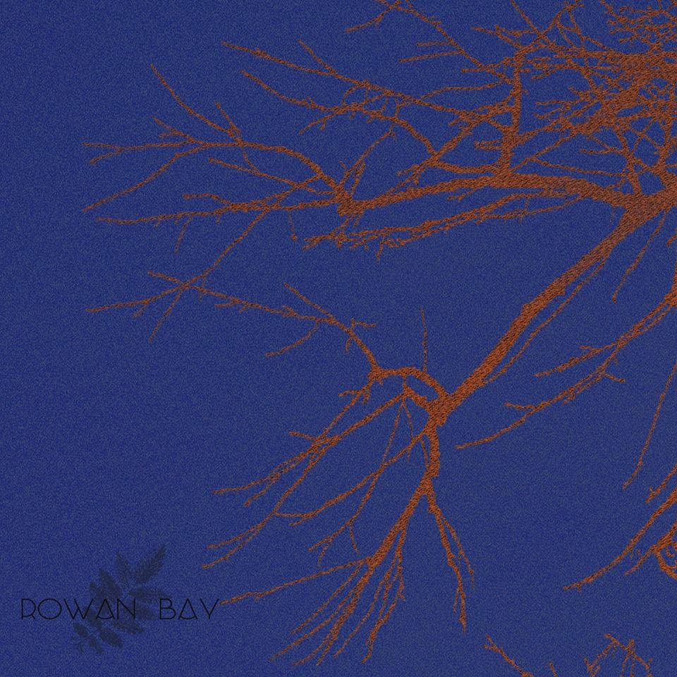 Tragetuch Rowan Bay Wildwood bluebird  Image