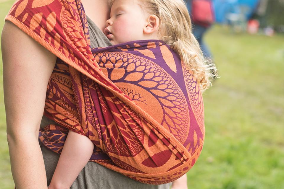 Baie Slings Nature Phoenix  Image