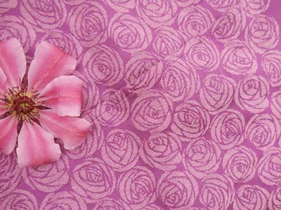Oscha Roses Foxglove Wrap  Image