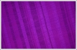 Ellevill Jade LE TRI purple Wrap  Image