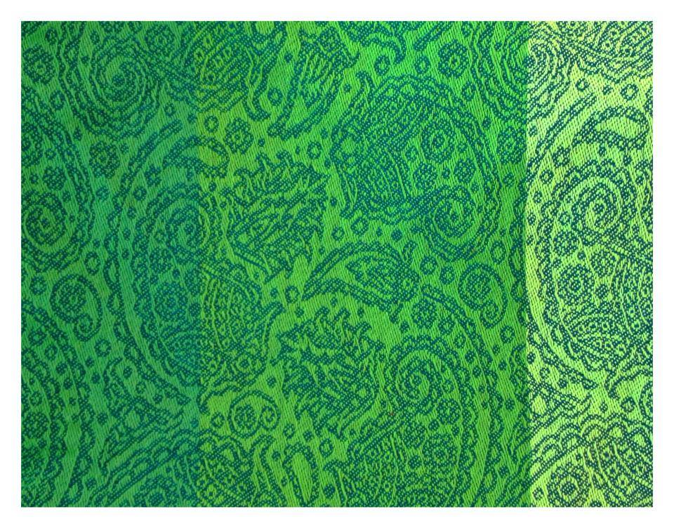 Ellevill Paisley Quatro green Wrap  Image