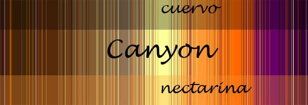 Girasol Herringbone Weave Canyon nectarina  Image