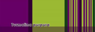 Girasol small stripe Turmalina purpura Wrap  Image