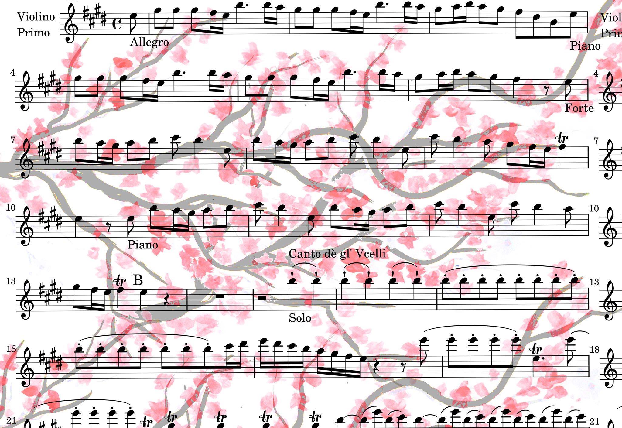Diso wraps Vivaldi’s VIVALDI's SPRING Wrap  Image