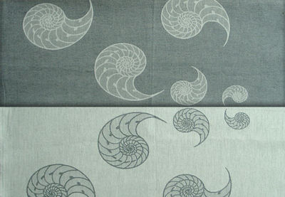 Didymos Nautilus Stone Grey/Ракушки серые с кашемиром Wrap (cashmere) Image