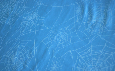 Tragetuch Natibaby Spiderweb Tela blue Hemp (Hanf) Image