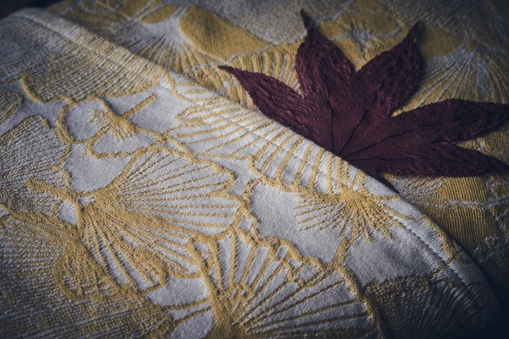 Levate Leaves of Ginkgo Au Wrap  Image